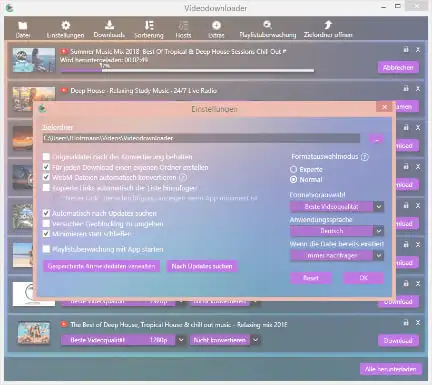 Einstellungen Video-Downloader Screenshot des Download Vorganges beim Video-Downloader